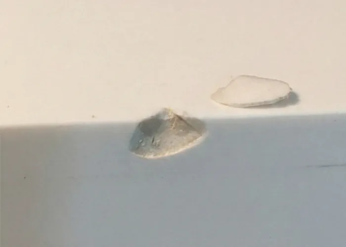 Acrylic